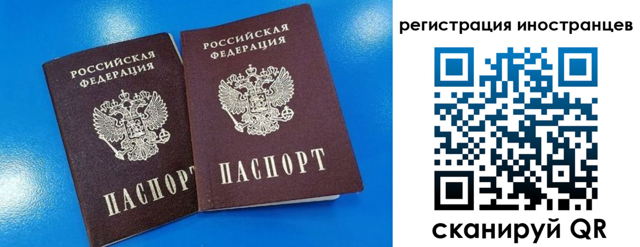 временная регистрация поиск в Порхове