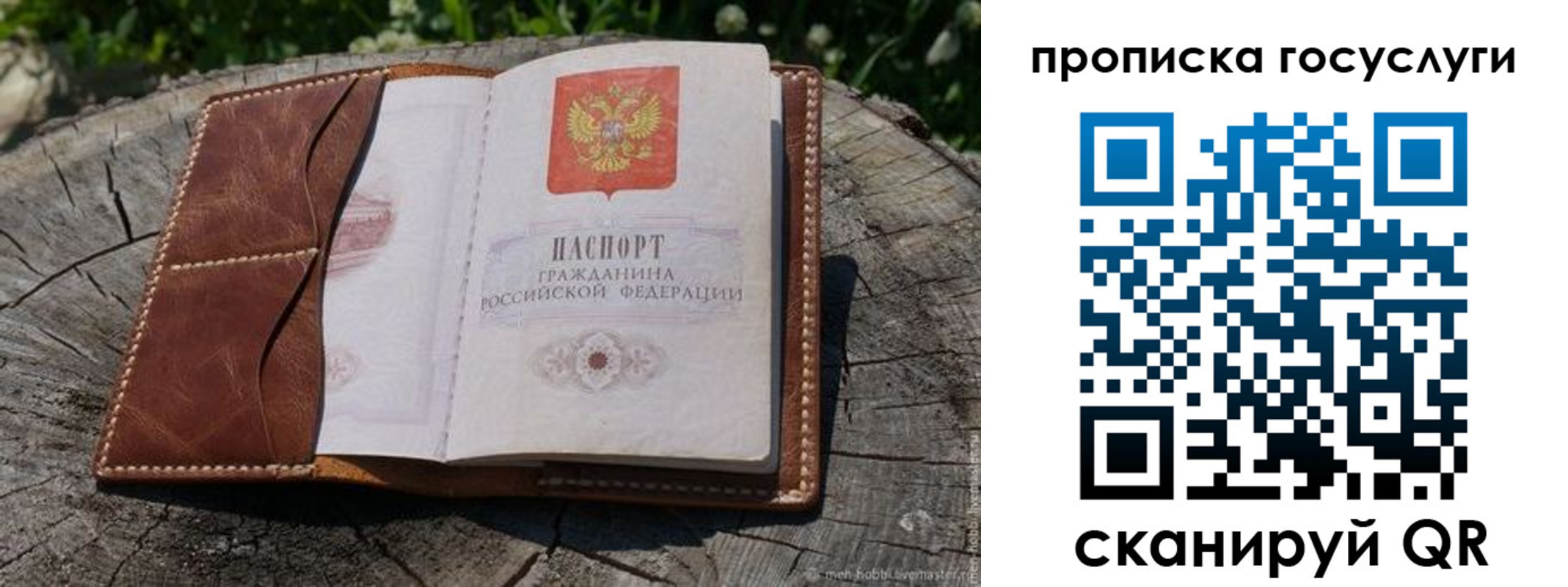 прописка для школы в Порхове